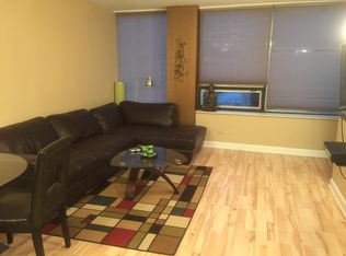 233 E Erie St APT 1302, Chicago, IL 60611