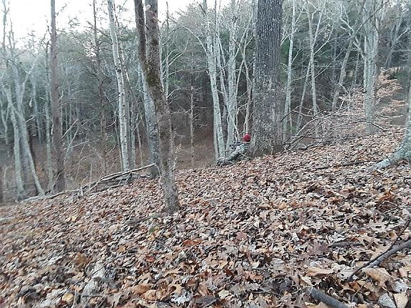 Private hunting ground.