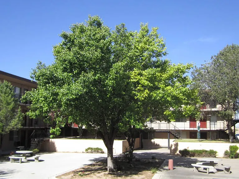 The Villas at Uptown — Photo 12