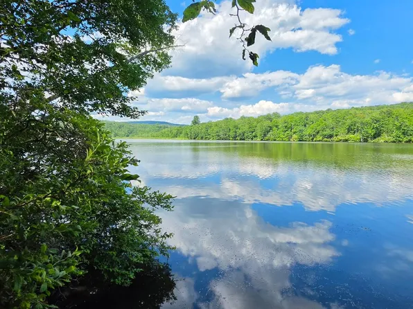 Shore Rd, Swan Lake, NY 12783