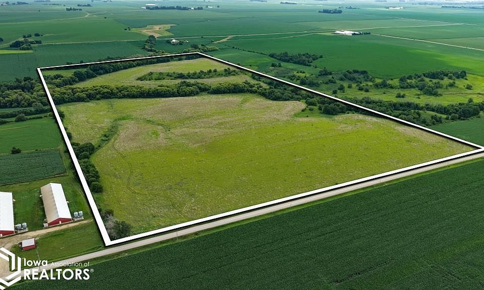 1st image of Tulip Ave