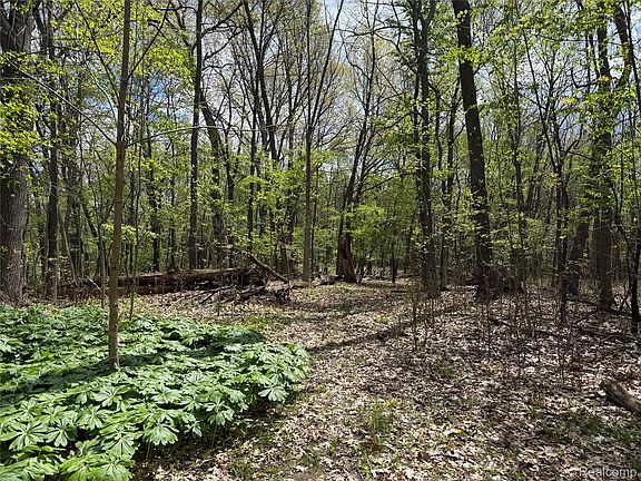 4th image of LOT 25 Hidden Ridge Trl