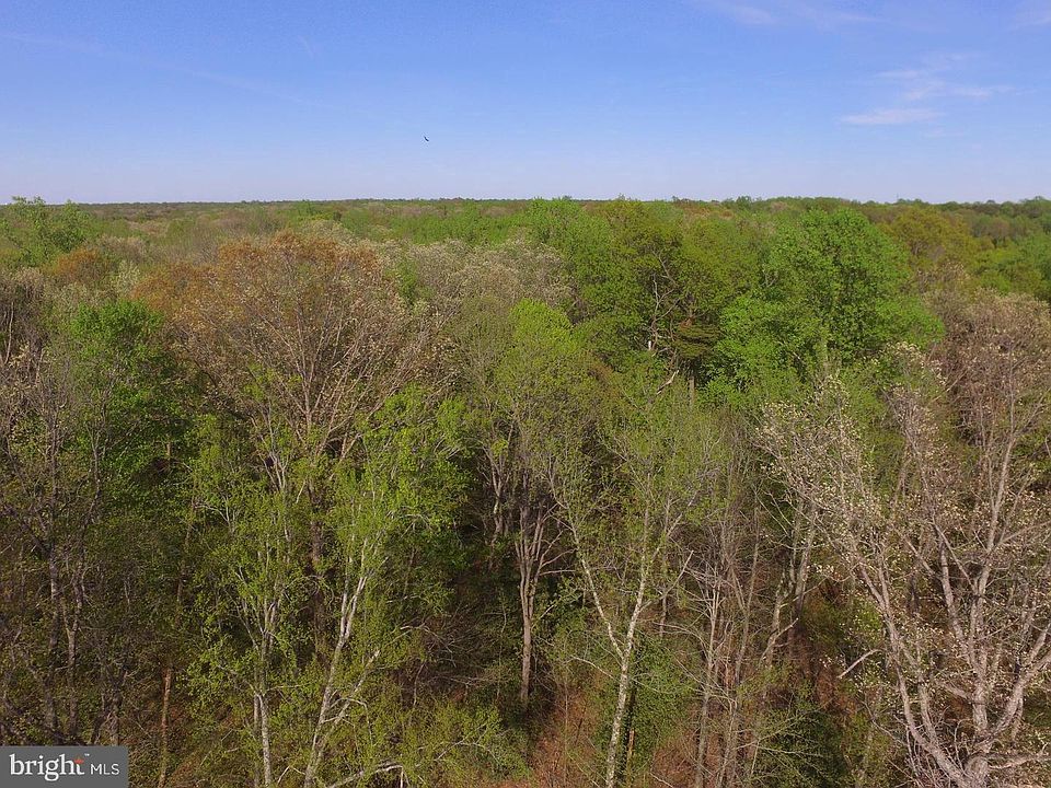 2nd image of 7915 Bowies Pond Pl