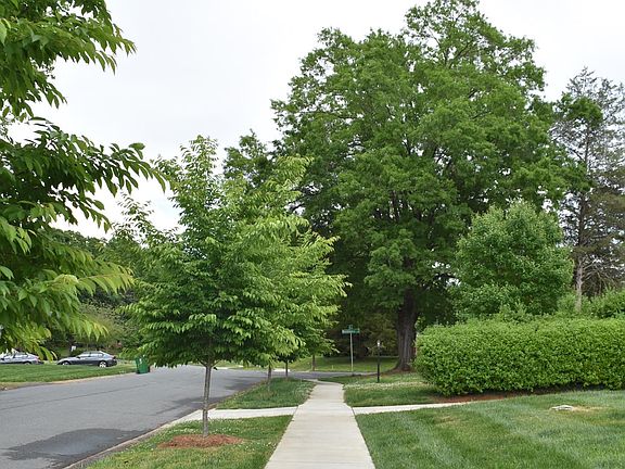 Sidewalk view, quiet street