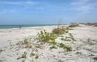 4th image of 1290 Gulf Blvd APT 1805