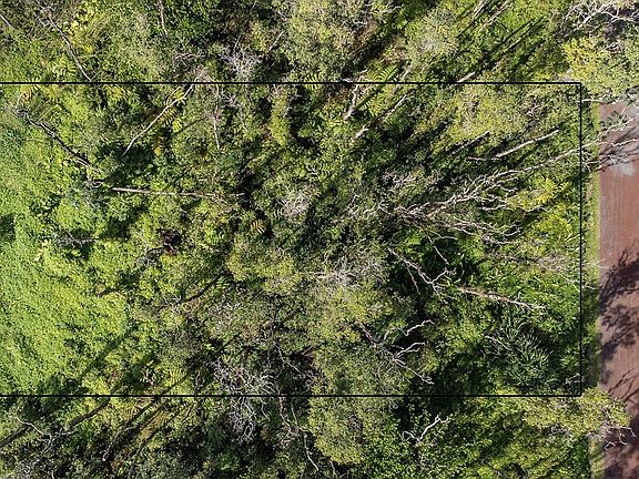 5th image of Bamboo Dr Lot 74