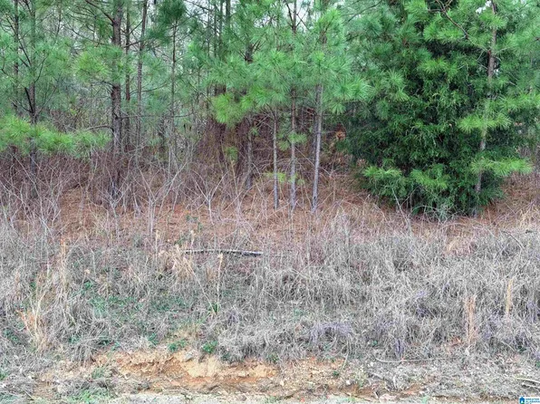 2012 Shannon Rd #1, Bessemer, AL 35022