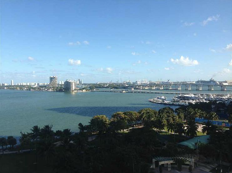 1st image of 1800 N Bayshore Dr APT 2303