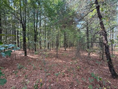 145 Brier Hill Rd, Ethridge, TN, 38456