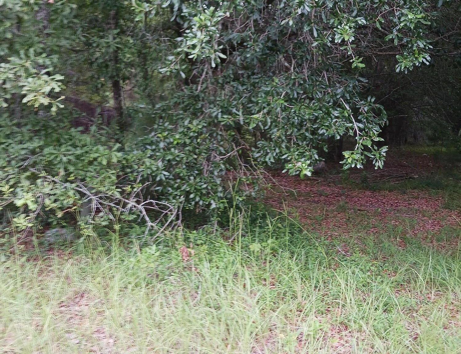 1638 Old Whitesville Rd, Moncks Corner, SC 29461 MLS 24017763 Zillow
