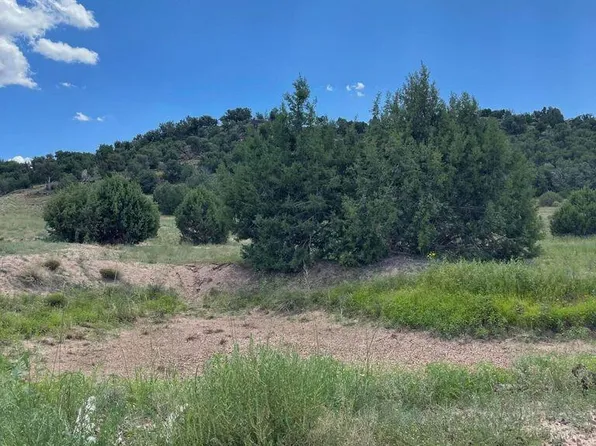 Freedom Ln, Show Low, AZ 85901