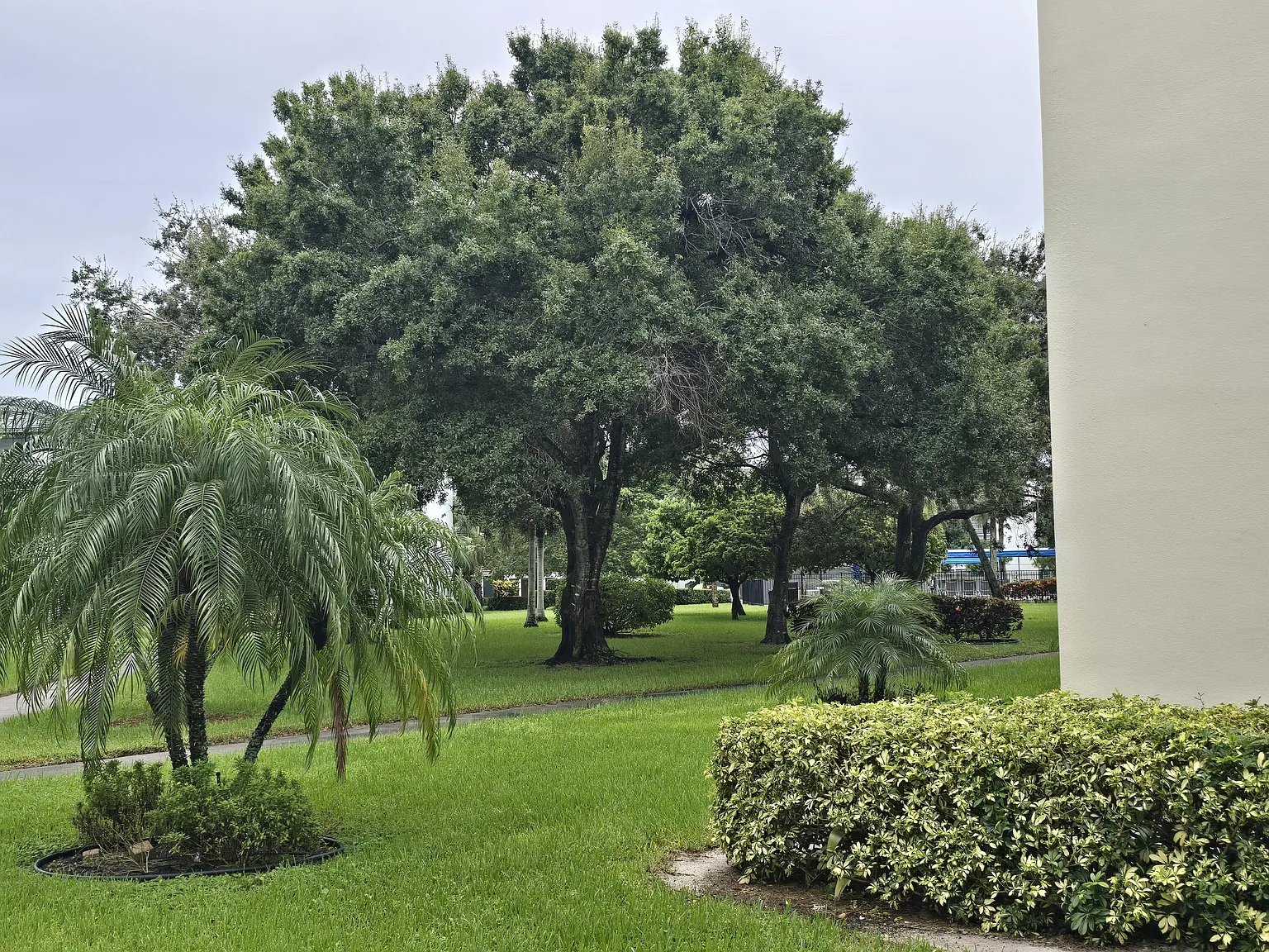2 bed, 2.0 bath, 1291 sqft, $3,500 — Photo 3