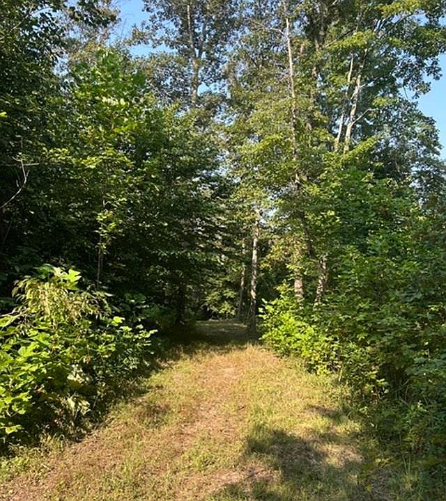 1st image of 0 Holly Branch Run Rd