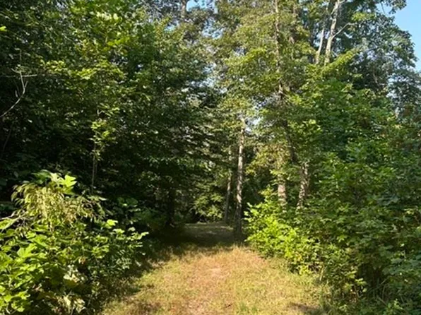 0 Holly Branch Run Rd, Magnolia, KY 42757