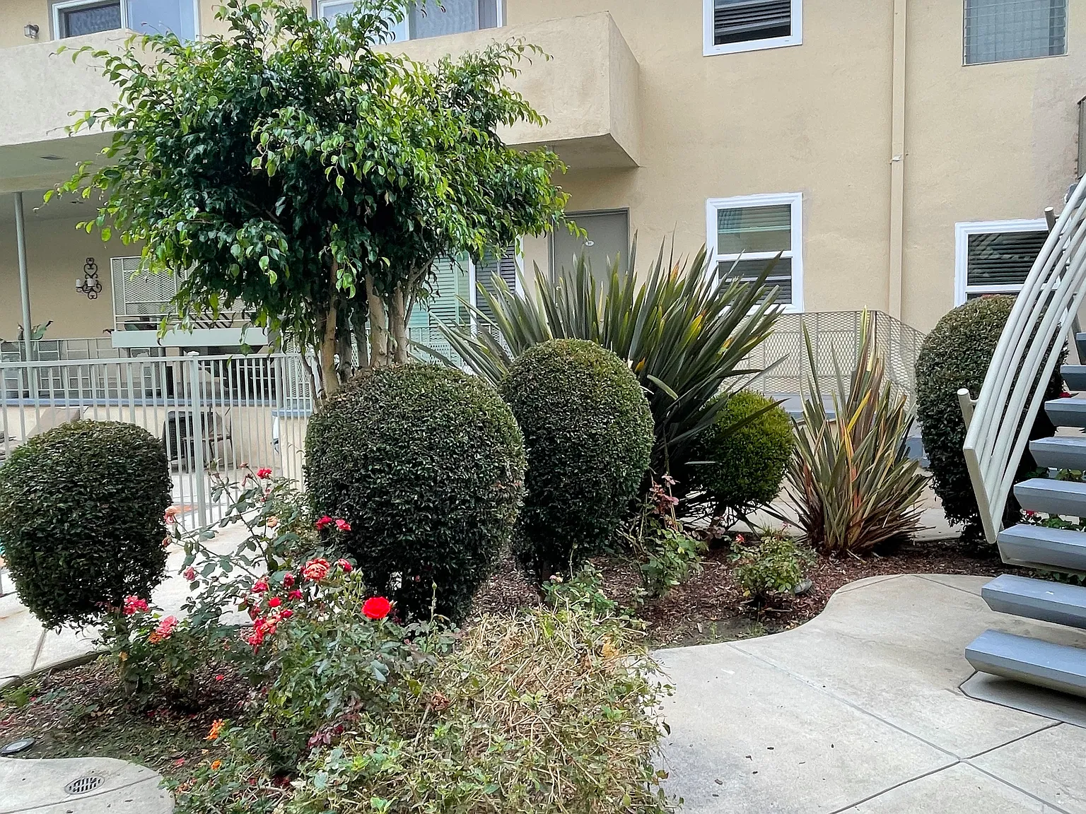 11601 Gorham Ave — Photo 4