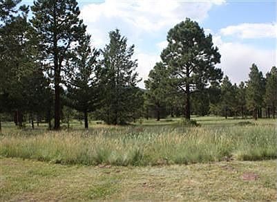 2nd image of 15519 Telemark Way