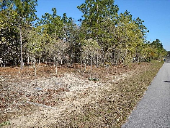 3rd image of 4694 N Allamandra Dr