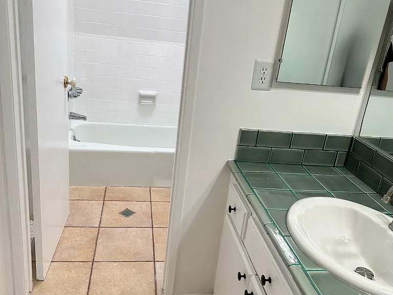 Guest bathroom