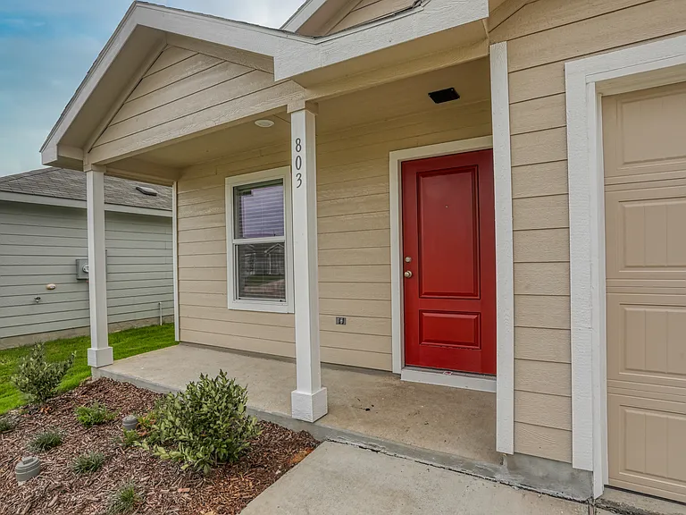 803 Ginkgo Way — Photo 12