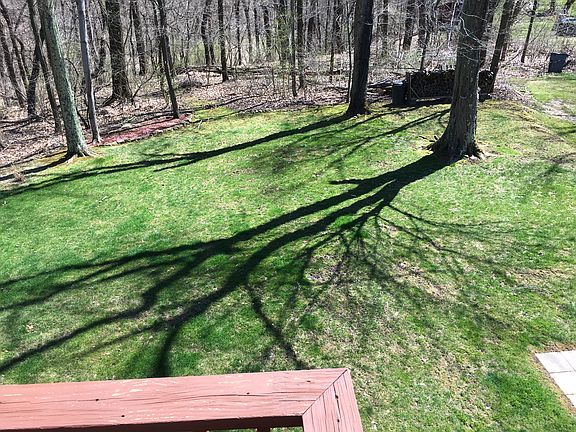 Back Yard (2)