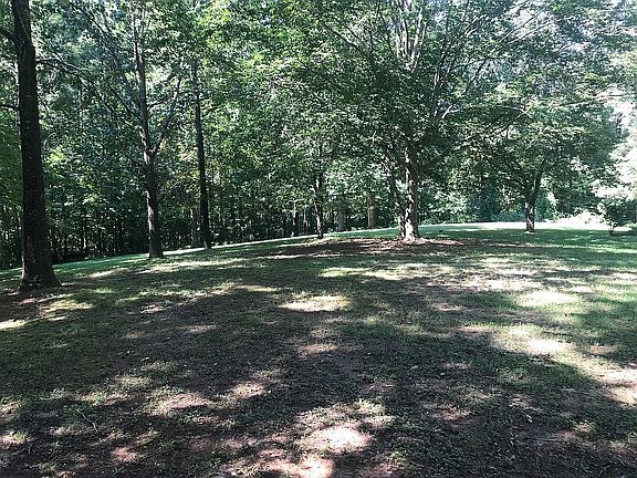 Side yard with creek