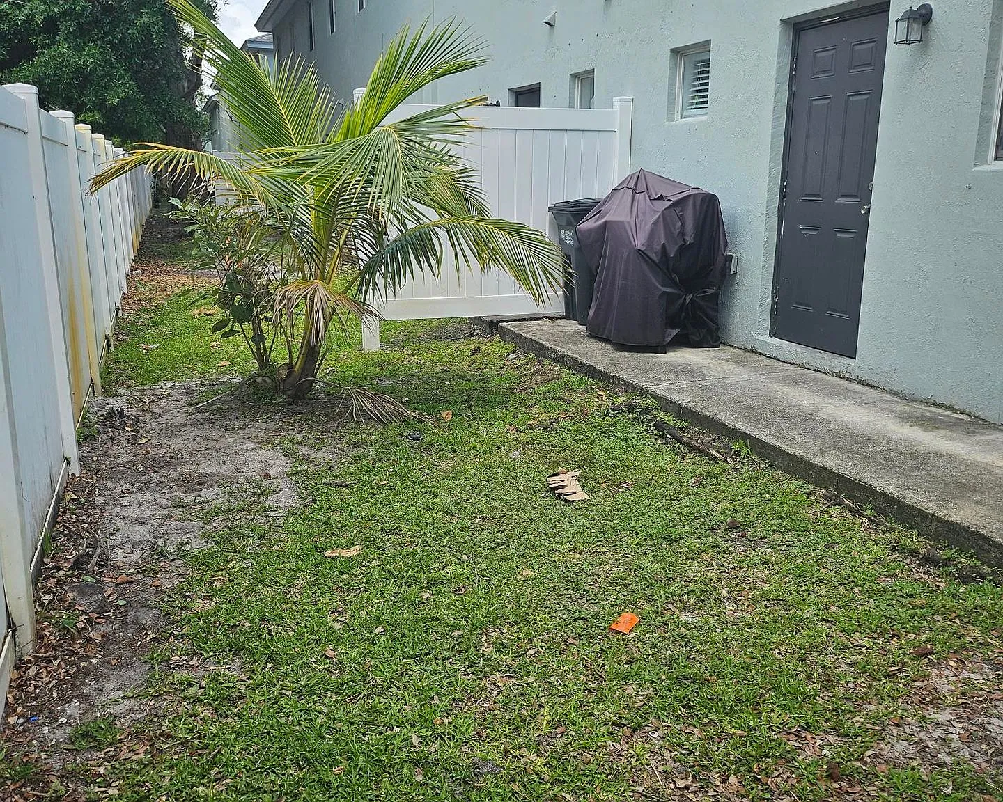 Colonial Palms — Photo 4