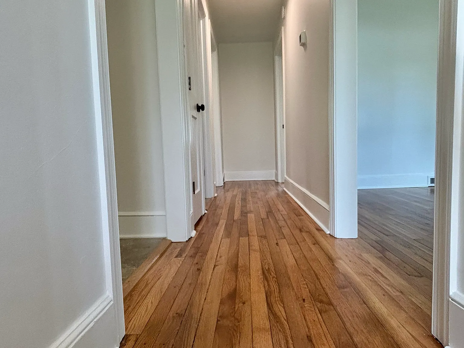2 bed, 800 sqft, $1,500 — Photo 3