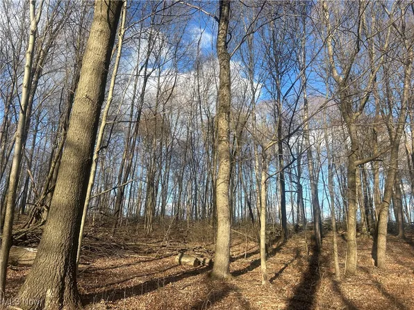 McKee Rd, Walhonding, OH 43843