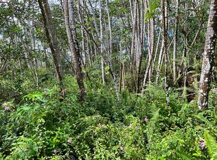 Mauna Kea Rd LOT 541, Pahoa, HI 96778