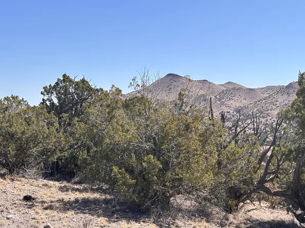 126 Abbe Spgs, Magdalena, NM 87825