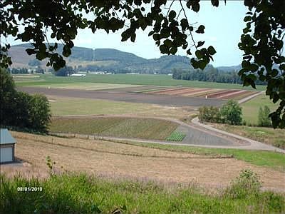 2nd image of 187 Degoede Dr