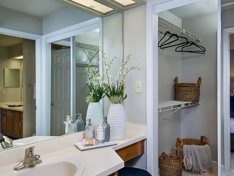 Bathroom with walk-in closet