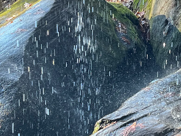 Big Cola Rd — Photo 16