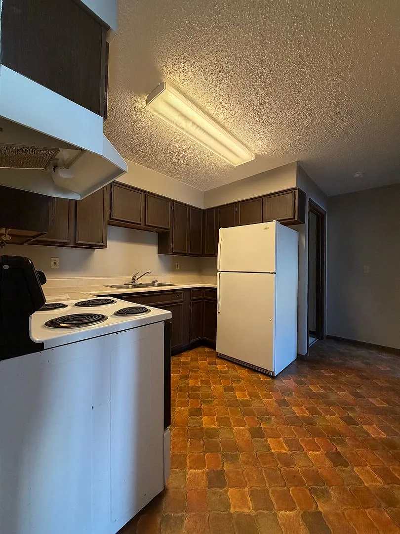 203 W Dolf — Photo 4