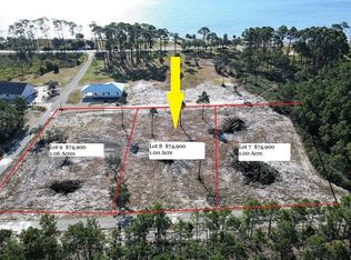 130 Shell Bay Ct, Carrabelle, FL 32322