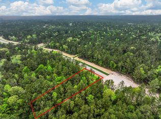 25011 Balmorhea Way, Montgomery, TX 77316