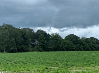 420 Old Country Rd, Ambrose, GA 31512