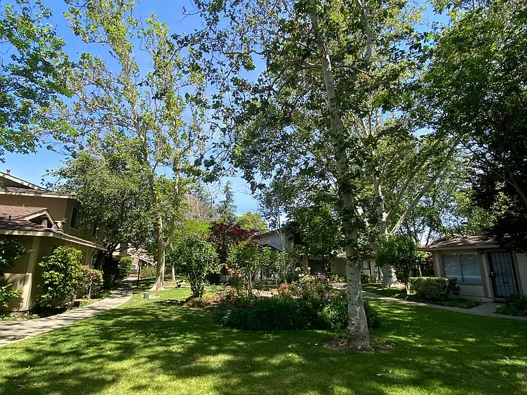 1567 Ivycreek Cir — Photo 3