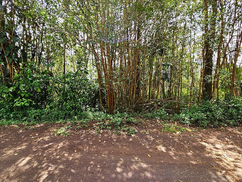 1st image of Silversword Ct Lot 24