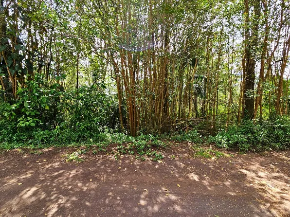 Silversword Ct Lot 24, Kurtistown, HI 96760
