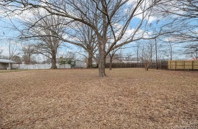 Fenced-in back yard