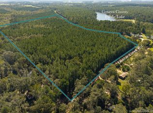 1672 Stephenson Rd, Coffee Springs, AL 36318