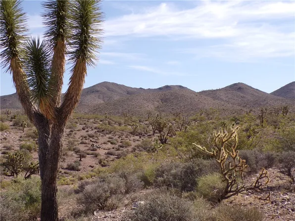 8108 W Rio Vista Dr, Dolan Springs, AZ 86441