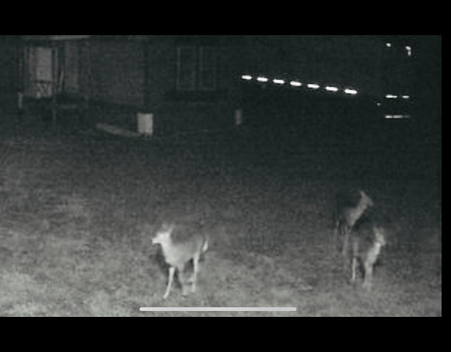 2nd image of 5888 108th Ave