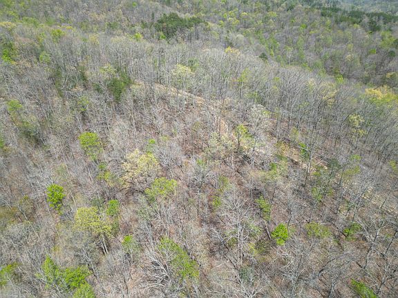 5th image of 9999 Mud Creek Lot Rd