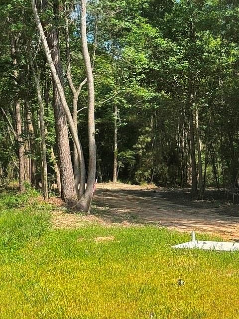 1st image of 1 Horace Bonds Rd