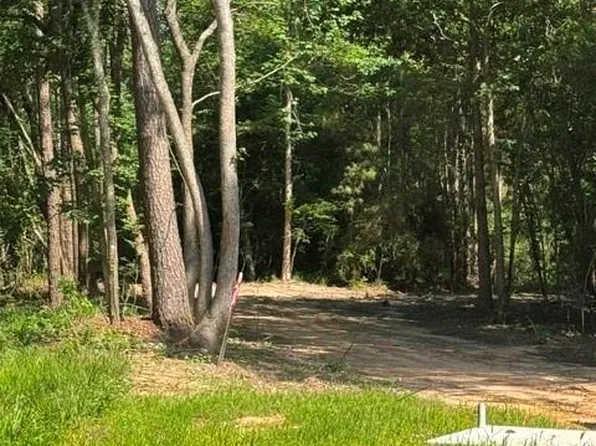 1 Horace Bonds Rd, Livingston, TX 77351
