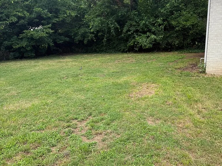 1215 Westlawn Dr — Photo 35