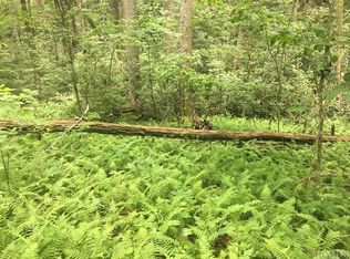 52 Holly Rd, Sapphire, NC 28774