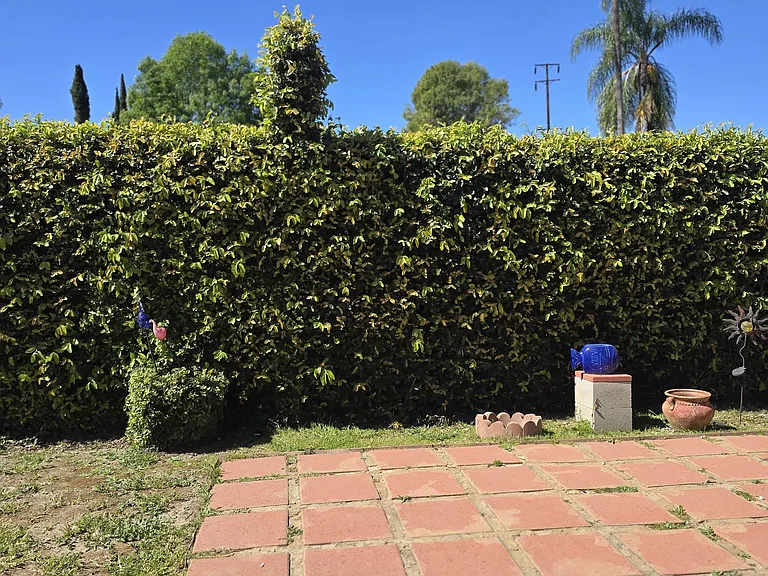 Daines Dr — Photo 16